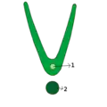 Préfoliation rédupliquée