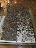 Le Pfahlemodell dans le musée.