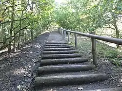 L'escalier menant au sommet du terril no&nbsp;122.