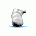 Animation d'un calcanéus gauche.