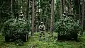Le feuillage camouflant les Jackal est de la même couleur que le fond