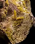 Legrandite -  Ojuela Mexique (XX1,4 cm)