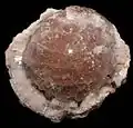 Leifite, Mont Saint-Hilaire, 4 x 3.5 x 2.75&nbsp;cm