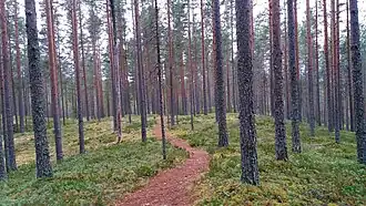 Leivonmäki