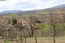 Lelic - Panorama