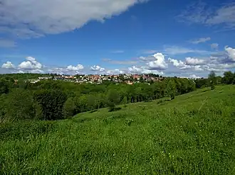 Lemberg