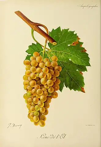 Len de l'el