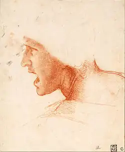 Dessin au crayon avec estompes représentant la tête d'un homme vue de côté en train de crier.
