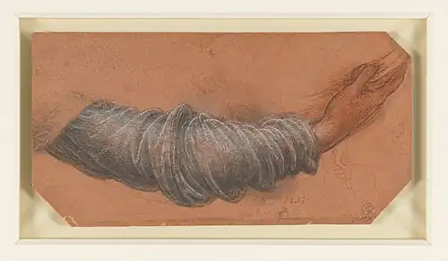 Dessin représentant un bras droit.