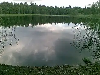 Nõva