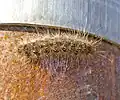 Chenille