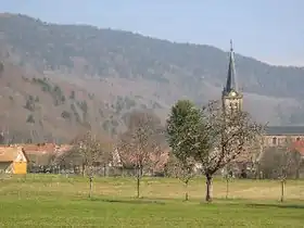 Lepuix