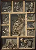 Nature morte aux oiseaux exotiques, 120x80cm