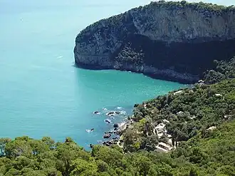 Réserve de biosphère du parc du Gouraya (Béjaïa).