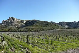 Image illustrative de l’article Alpilles (IGP)