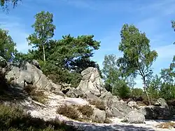 Les Bruyères de Frais-Vent dans le bois de Montlognon, ancien site d'extraction de blocs de grès, représentent la principale curiosité géologique du massif forestier d'Ermenonville.