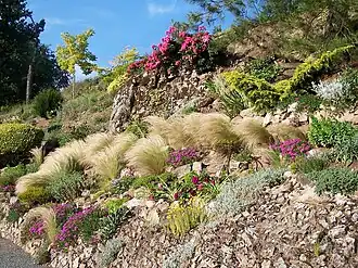 Vue sur une partie du Jardin des Braves.