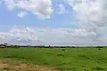 La nature des Aguégués