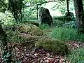 Les alignements de menhirs de la « Prise de Comper »