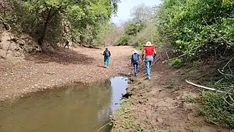 Les touristes au parc national de la Bénoué