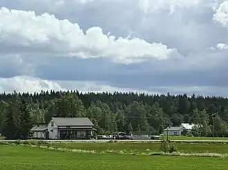 Tammela