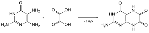 Synthèse de la leucoptérine de Purrmann