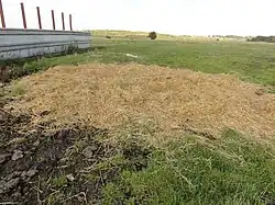 Le puits dans son environnement.