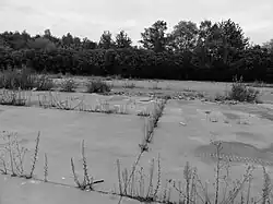 Le puits dans son environnement.