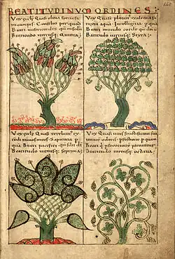 Arbres symbolisant les Béatitudes : olivier, platane, térébinthe, vigne (fo 125)