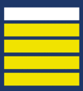 Lieutenant Colonel 1er&nbsp;degré.