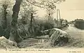 Liffré ː la route de Fougères au début du XXe siècle (carte postale).