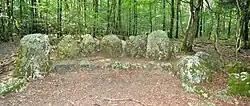 Mégalithes du carrefour de la Grande Lune dans la forêt de Liffré.