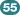 (55)