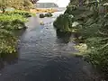 Rivière de Limbé