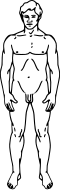Archétype
