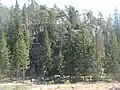 Kajamonvuori&nbsp;(fi)