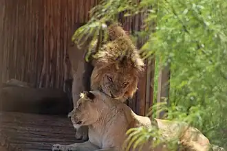 Image illustrative de l’article Jardin zoologique national de Rabat