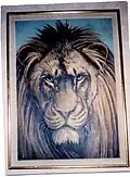Lion de l'Atlas, Algérie