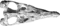 Crâne fossile de Liopleurodon.