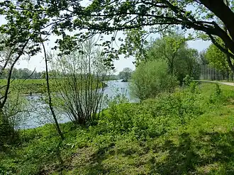 Nature à Lippe.