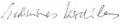 Signature de Gediminas Kirkilas