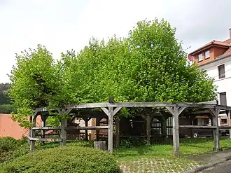Lischeid.