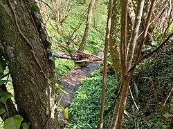 Vue d'un cours d'eau au centre