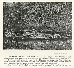 Photographie en noir et blanc avec des arbres en arrière-plan et un mur au premier plan