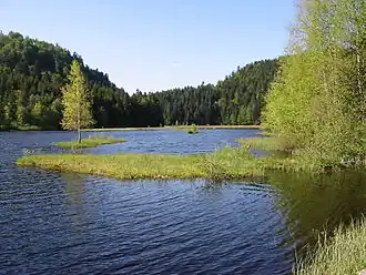 Image illustrative de l’article Lac de Lispach