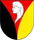 Blason de Litohlavy