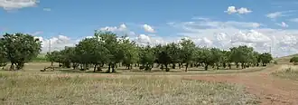 Aire spéciale No 2