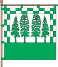 Drapeau de Lityn