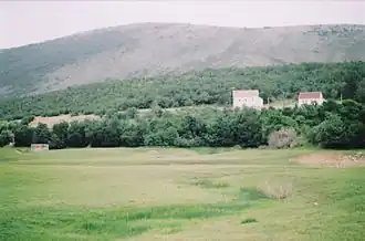Vrbica (Livno)