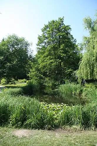 Image illustrative de l’article Jardin botanique de l'Université de Ljubljana